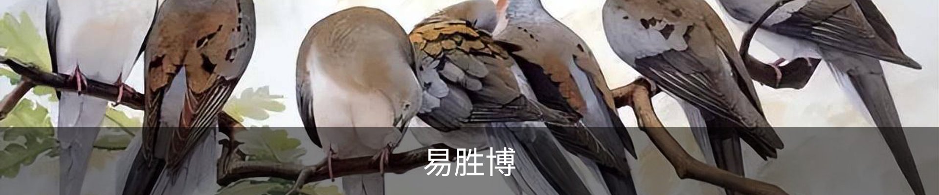 易胜博