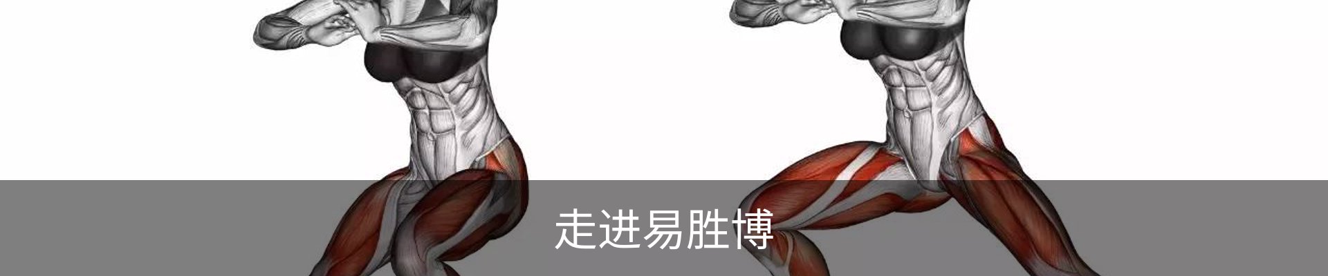 走进易胜博